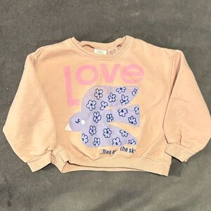 Zara Kids Pink and Purple Bird Sweatshirt